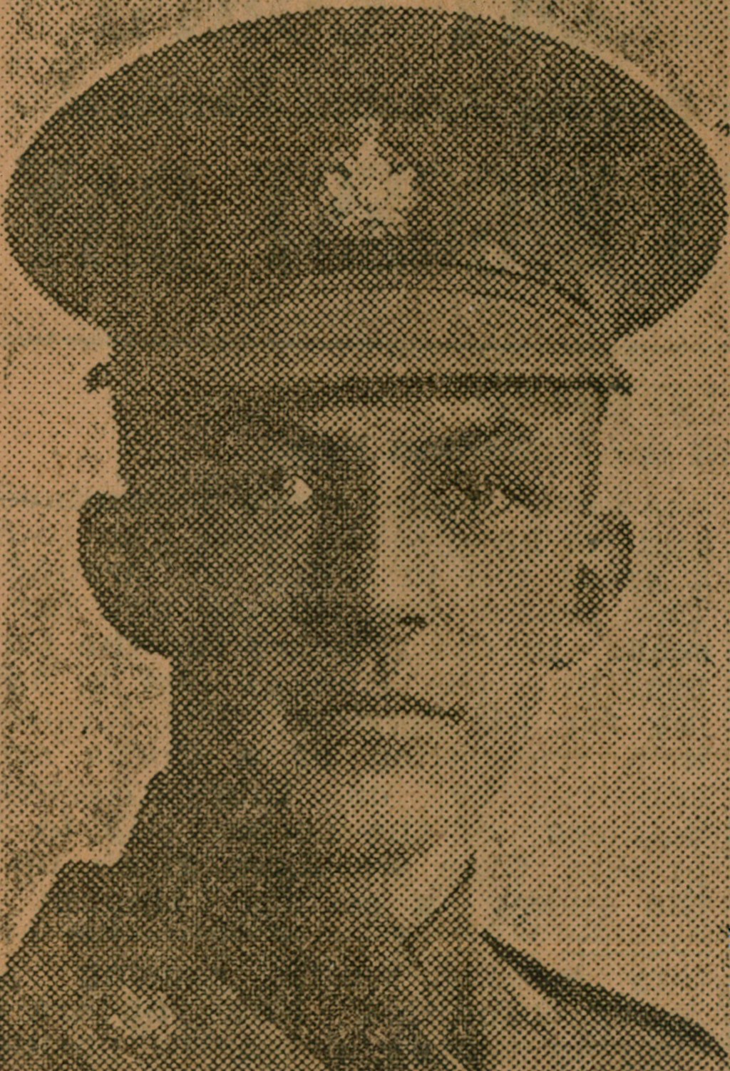 “God Send England the Strong Right Arm”: McMaster University in WWI, part&nbsp;2